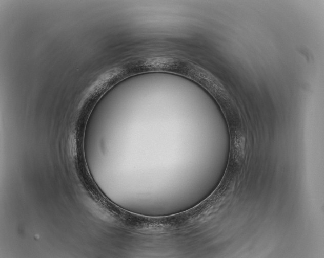 X0000110730734200906191525