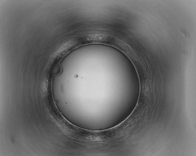 X0000110730735200906191525