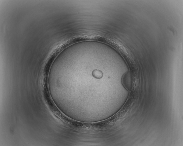 X0000110730736200906191525