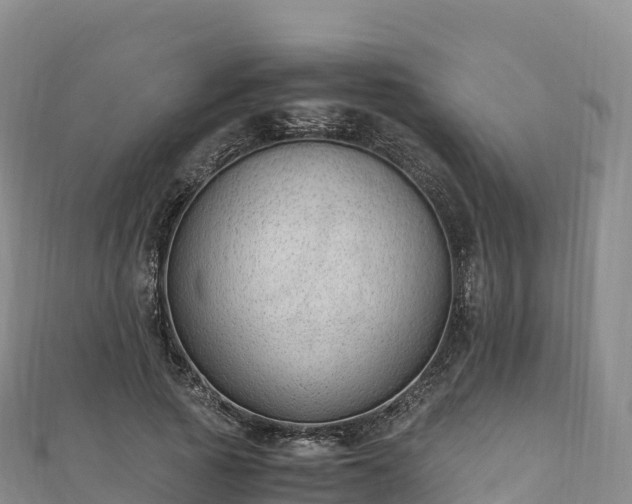 X0000110730737200906191525