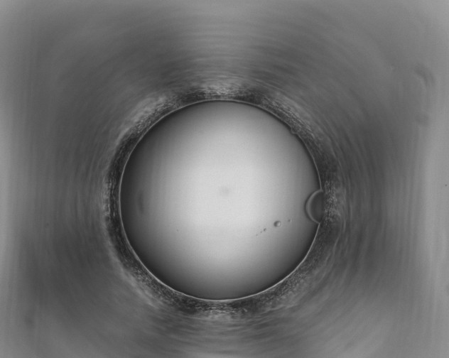 X0000110730738200906191525