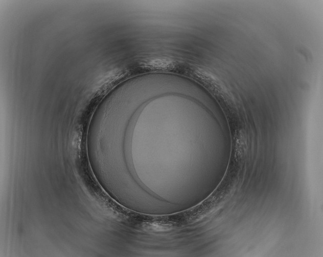 X0000110730739200906191525