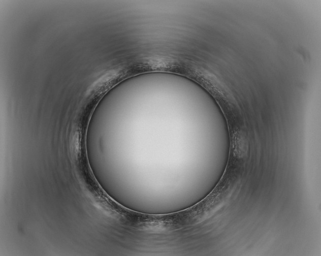 X0000110730740200906191525