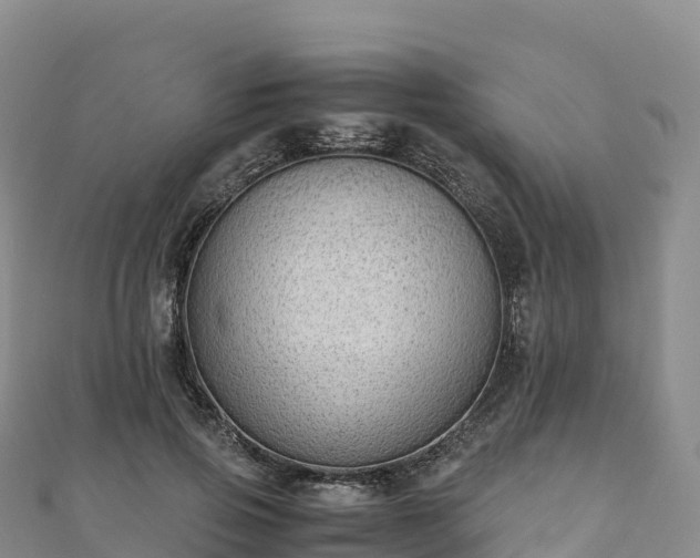 X0000110730741200906191525