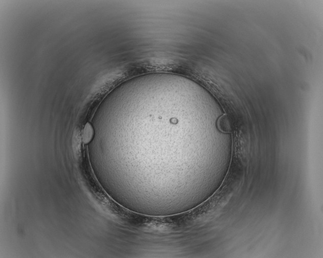 X0000110730742200906191525