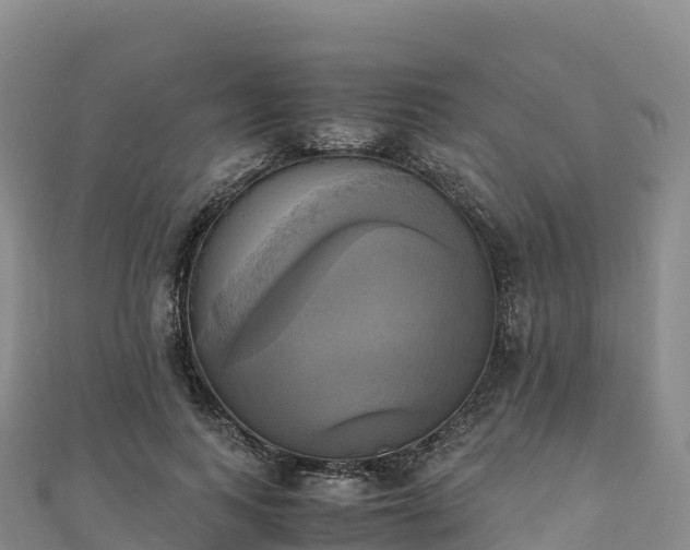 X0000110730743200906191525