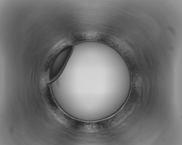 X0000110730744200906191525