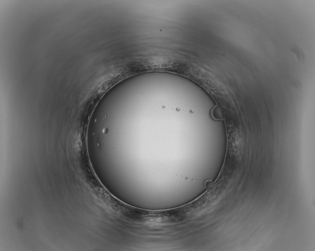 X0000110730746200906191525