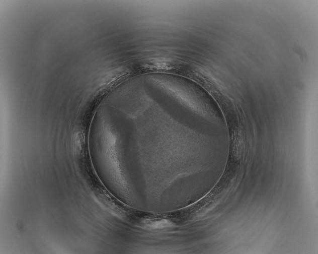 X0000110730747200906191525