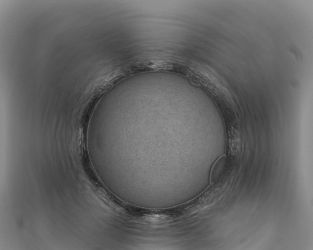 X0000110730748200906191525