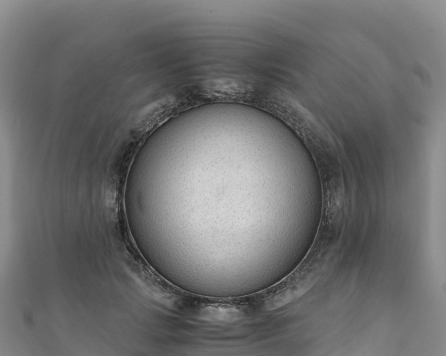 X0000110730749200906191525