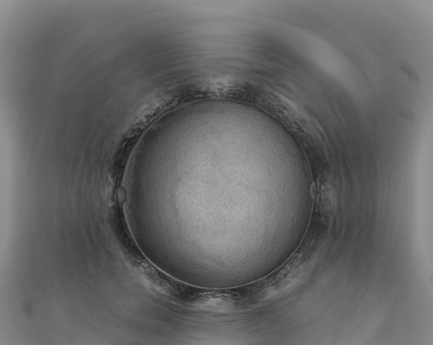 X0000110730750200906191525