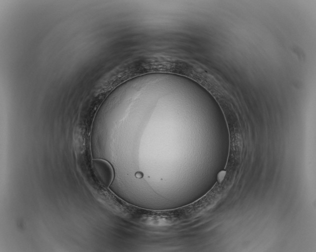 X0000110730751200906191525