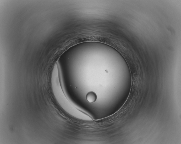 X0000110730752200906191525