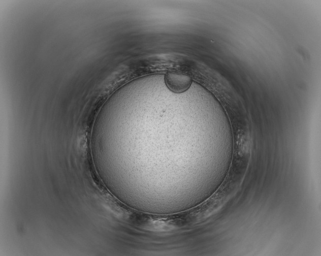 X0000110730753200906191526