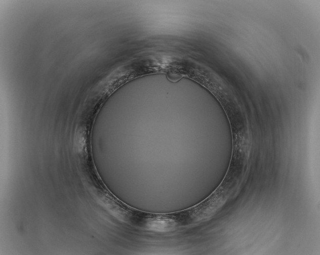 X0000110730754200906191526