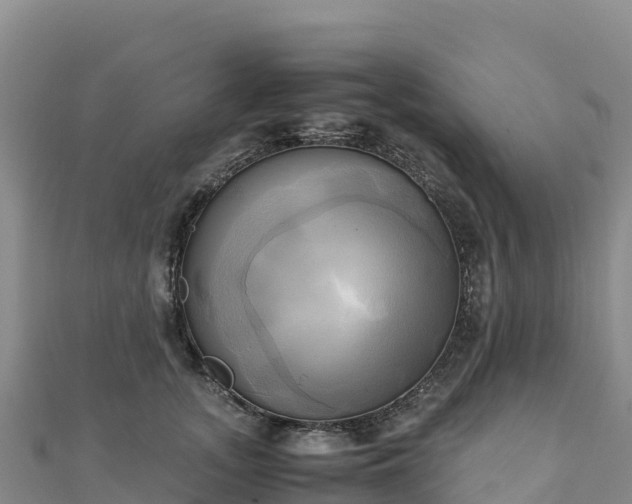 X0000110730755200906191526