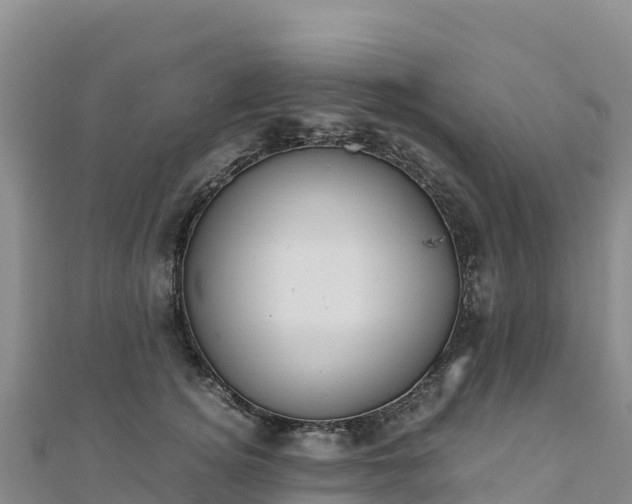 X0000110730756200906191526