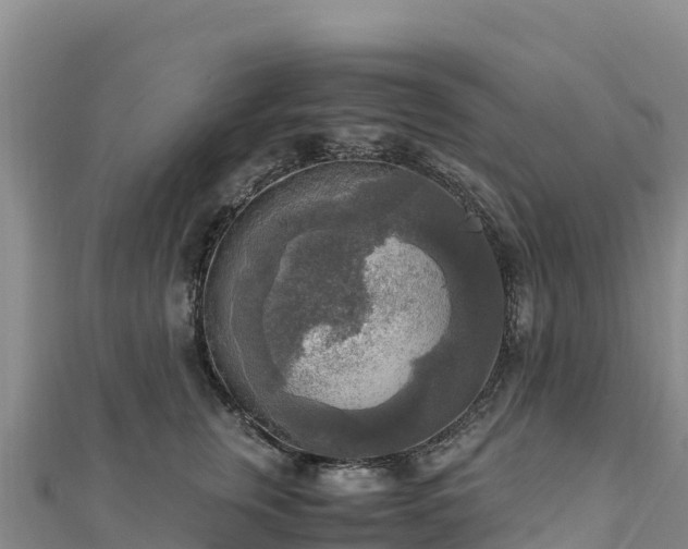 X0000110730759200906191526