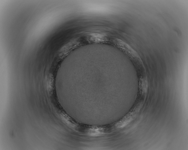 X0000110730760200906191526