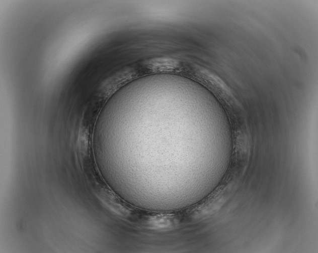 X0000110730761200906191526