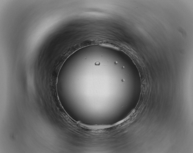 X0000110730762200906191526