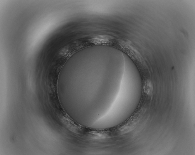 X0000110730763200906191526