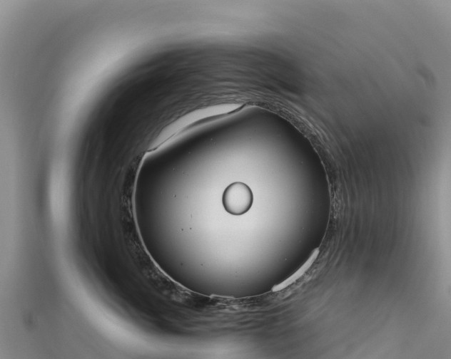 X0000110730764200906191526