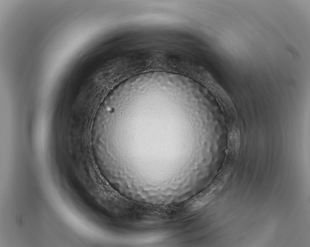 X0000110730765200906191526