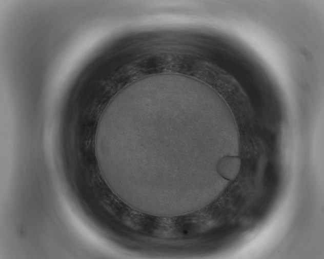 X0000110730766200906191526