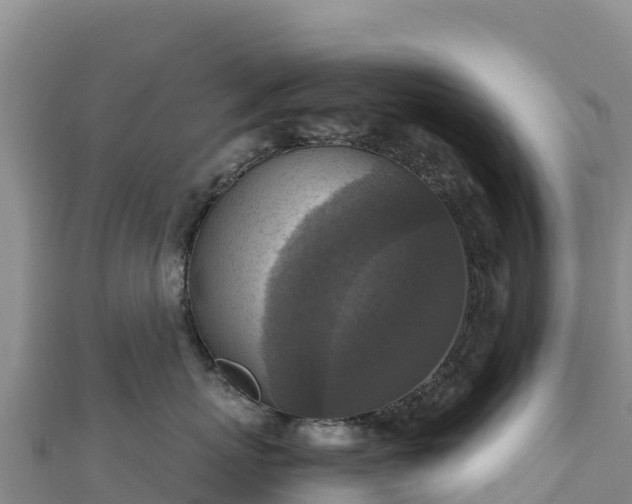 X0000110730767200906191526