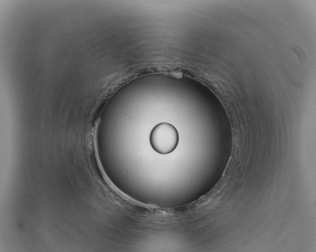 X0000110730768200906191526