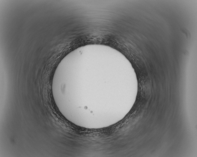 X0000110730769200906191525