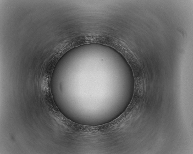 X0000110730770200906191525