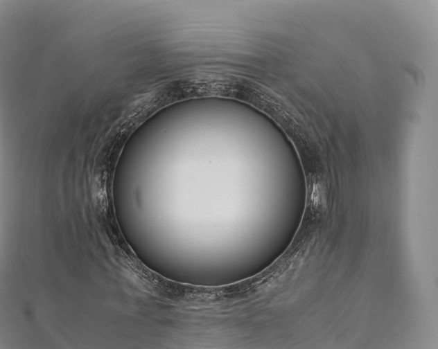 X0000110730771200906191525