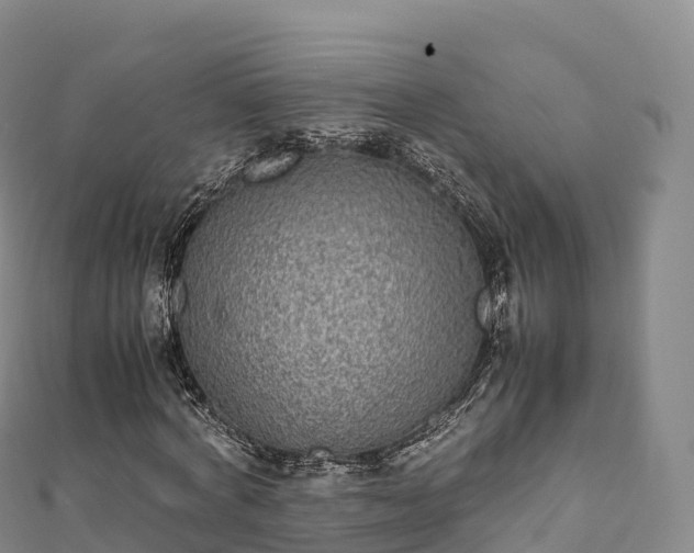 X0000110730772200906191525