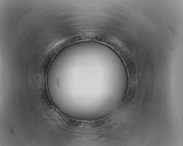 X0000110730773200906191525