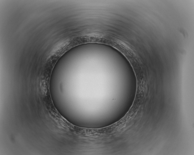 X0000110730774200906191525