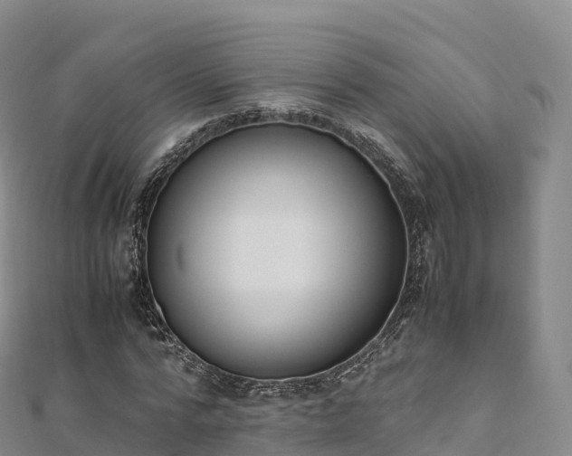 X0000110730776200906191525