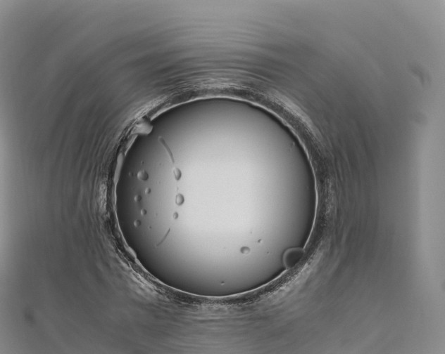 X0000110730777200906191525