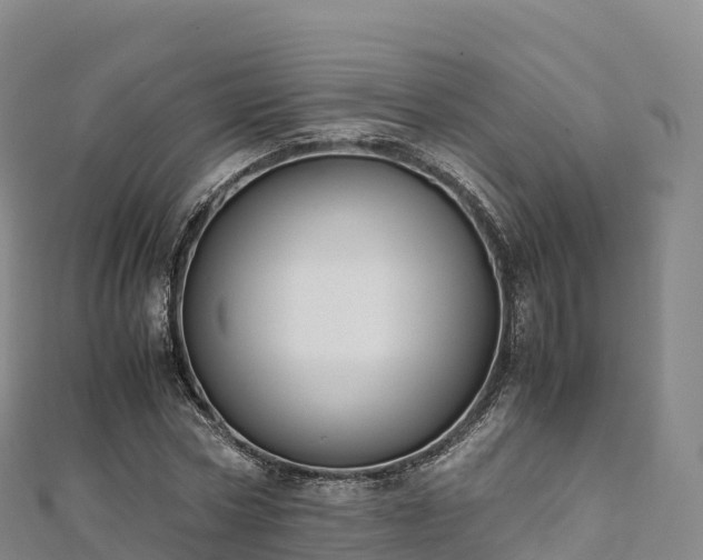 X0000110730778200906191525