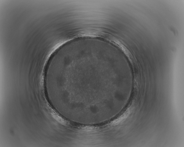 X0000110730779200906191525