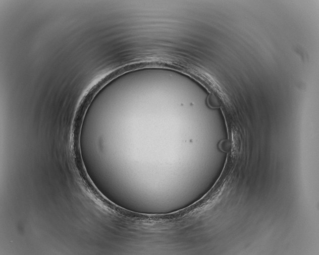 X0000110730780200906191525