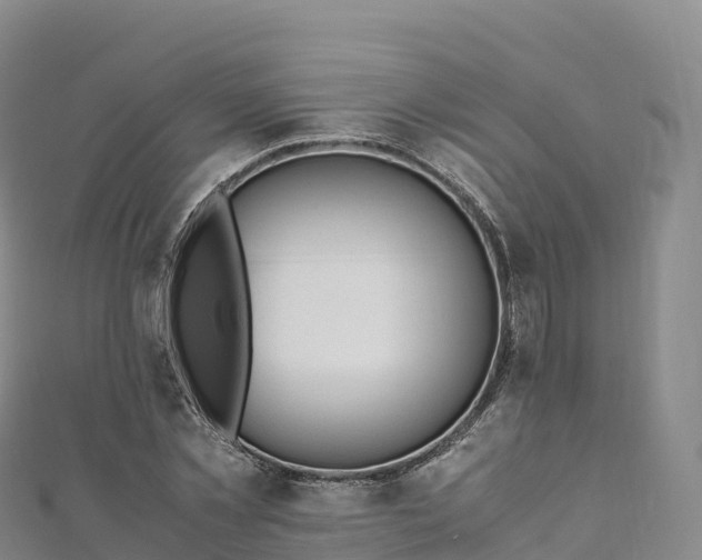 X0000110730781200906191525