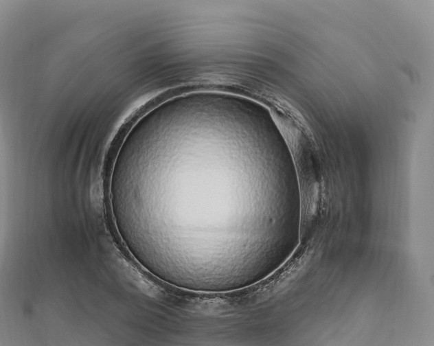 X0000110730784200906191525