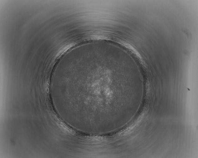 X0000110730785200906191525