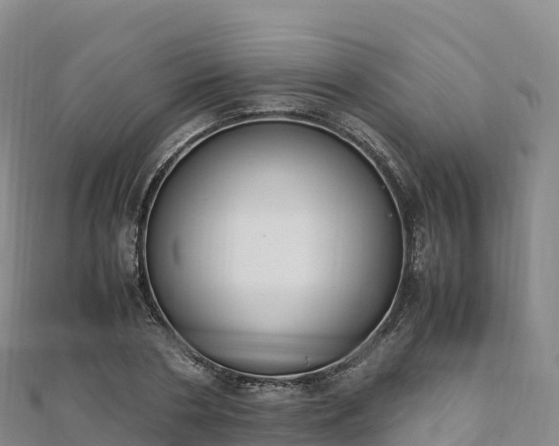 X0000110730786200906191525