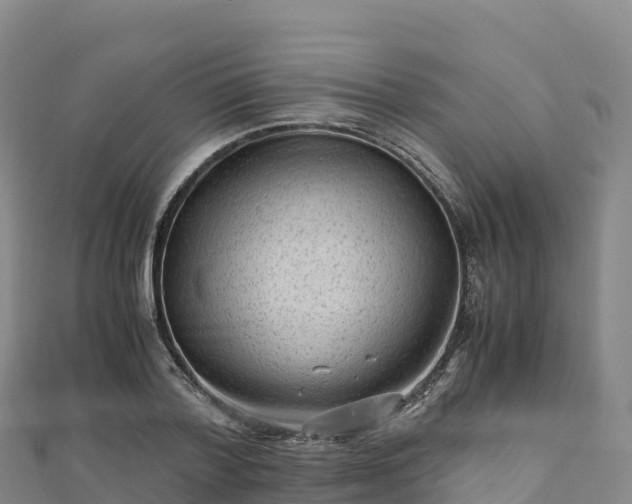 X0000110730788200906191525