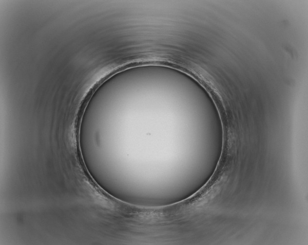 X0000110730789200906191525