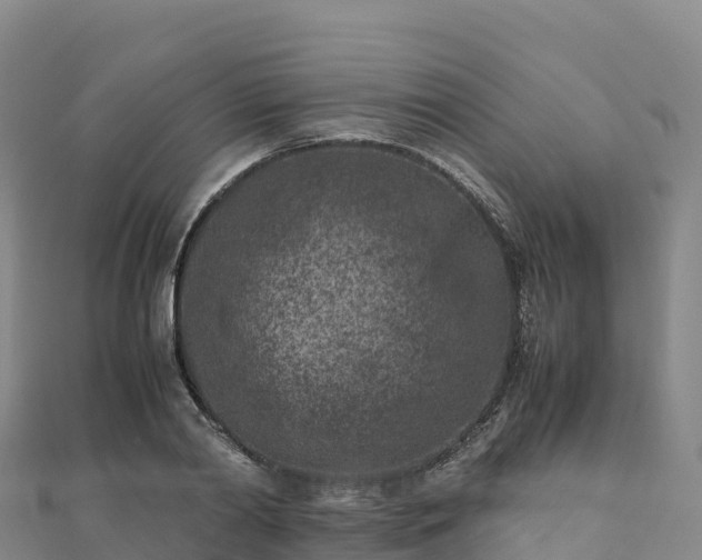 X0000110730790200906191525